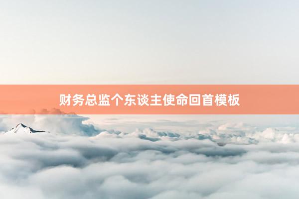 财务总监个东谈主使命回首模板