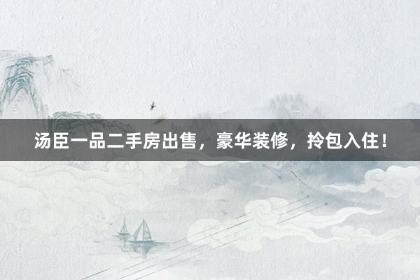 汤臣一品二手房出售，豪华装修，拎包入住！