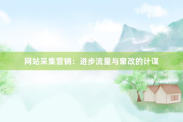 网站采集营销：进步流量与窜改的计谋